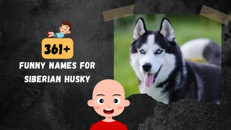 361+ Siberian Husky Names | Unique, Exotic, Badass & Fun Ideas.