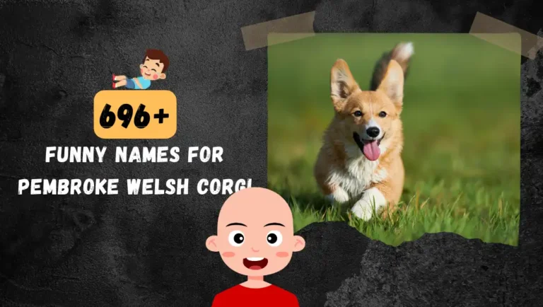 696+ Funny Male & Female Pembroke Welsh Corgi Dog Name.