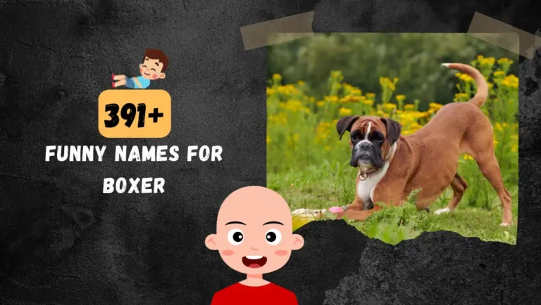 391+ Boxer Dog Names For Your Funny & Cute Loyal Pet.