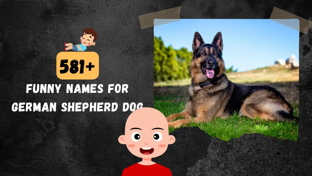 Funnny Names For German Shepherd Dog