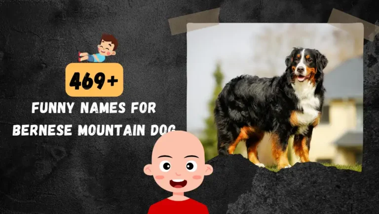 449+ Funny Bernese Mountain Dog Names | Most Popular Ideas.
