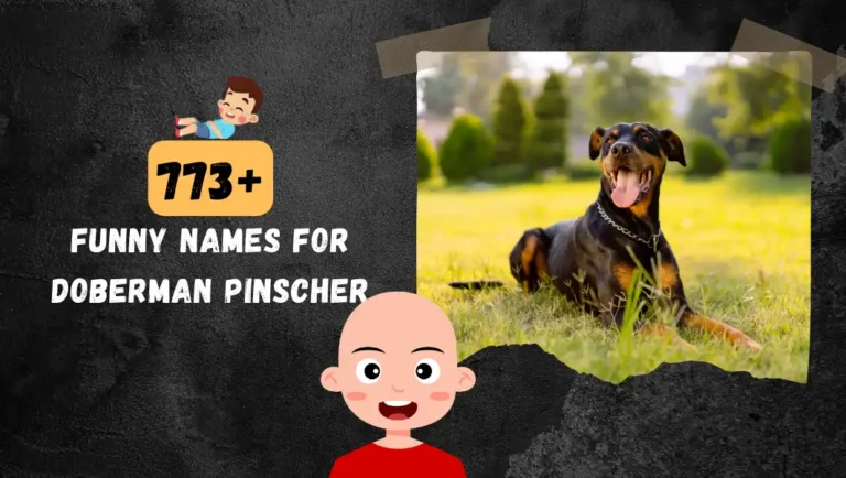 773+ Funny Doberman Pinscher Names: Unique, Exotics Ideas.