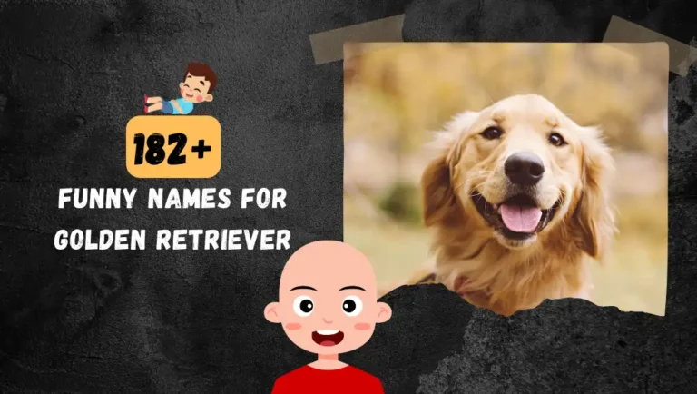 182+ Golden Retriever Names | Popular Male & Female Dogs.