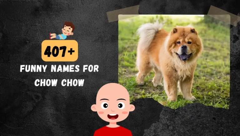 407+ Cute Names For Chow Chow