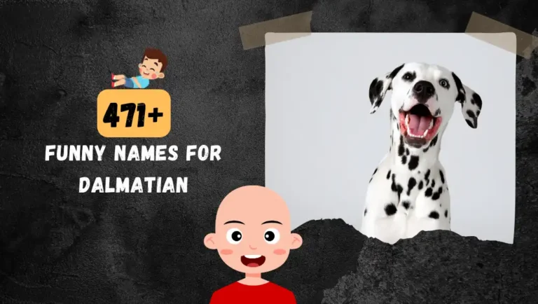 471+ Funny Dalmatian Names For Your Cute Male Firefighter.