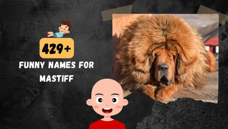 429+ Funny Mastiff Dog Names  | Badass, Tough & Unique Ideas.