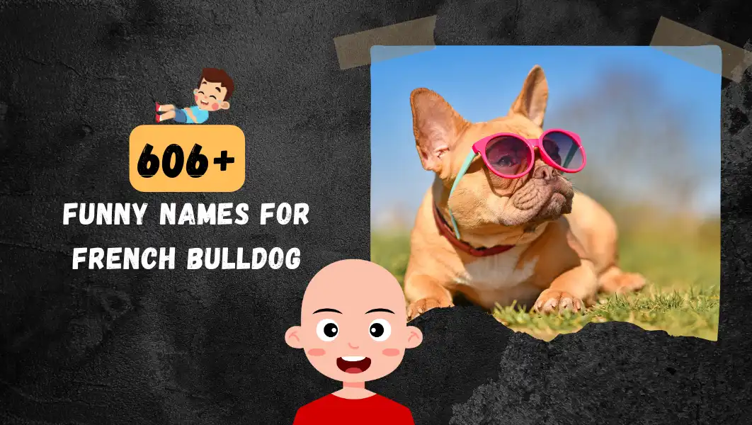 Funnny Names For French Bulldog