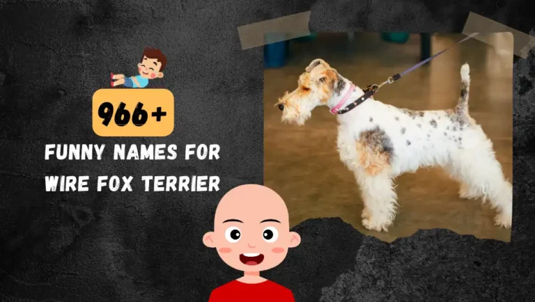 966+ Great Names For Wire Fox Terrier