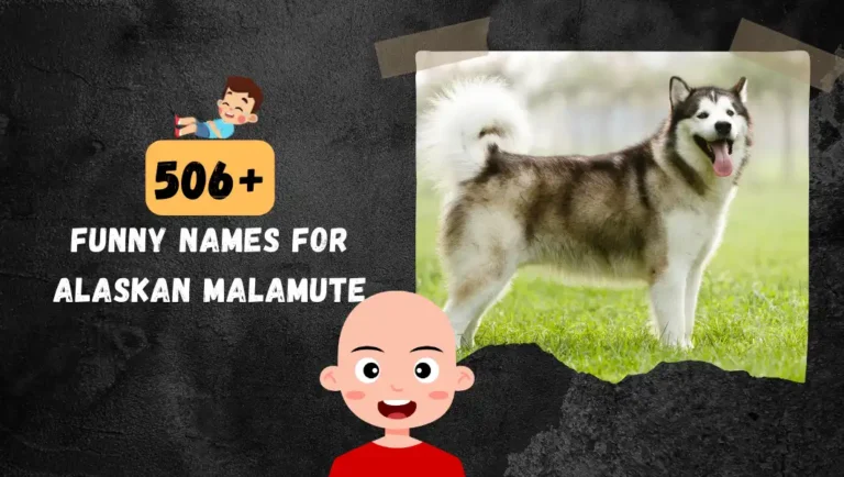 506+ Alaskan Malamute Funny & Cute Dog Name Ideas.