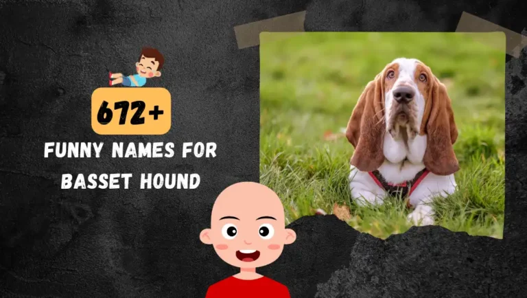 672+ Popular Basset Hound Dog Names: Unique & Funny Ideas.