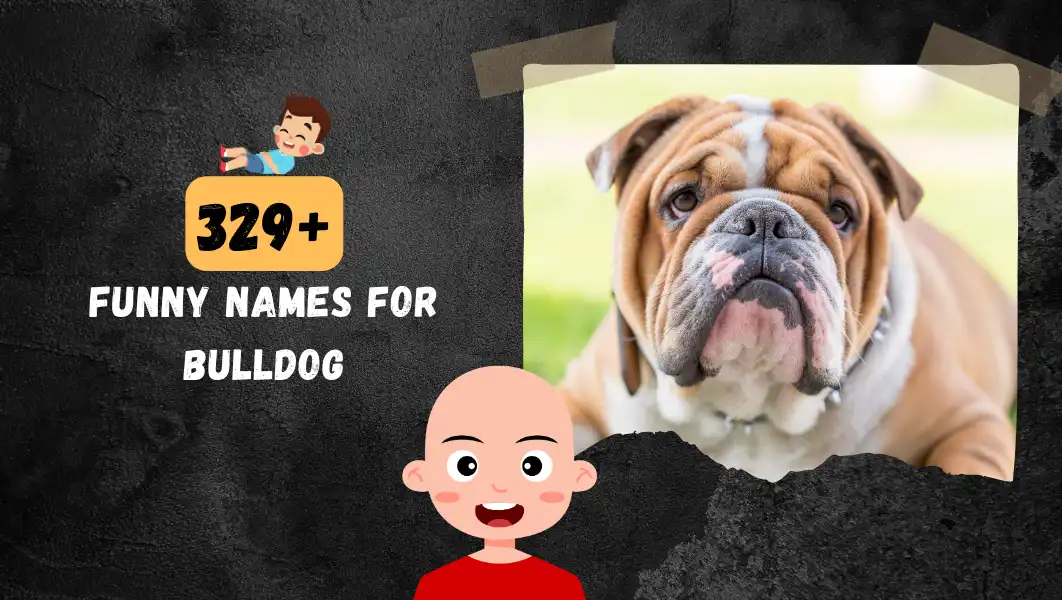 Funnny Names For Bulldog