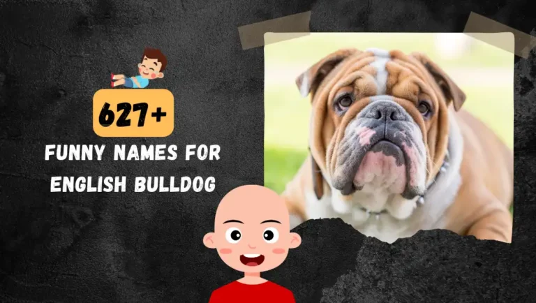 627+ Funny English Bulldog Name: Unique & Badass Ideas.