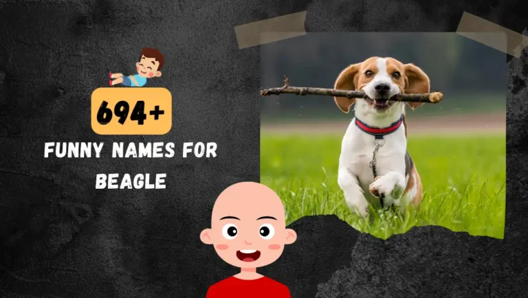 694+ Funny Beagle Names For Your Flo-phy eared Friend.