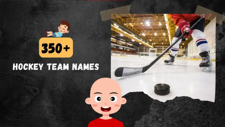 350+ Funny Hockey Team Names For (Collge & Field) Teams