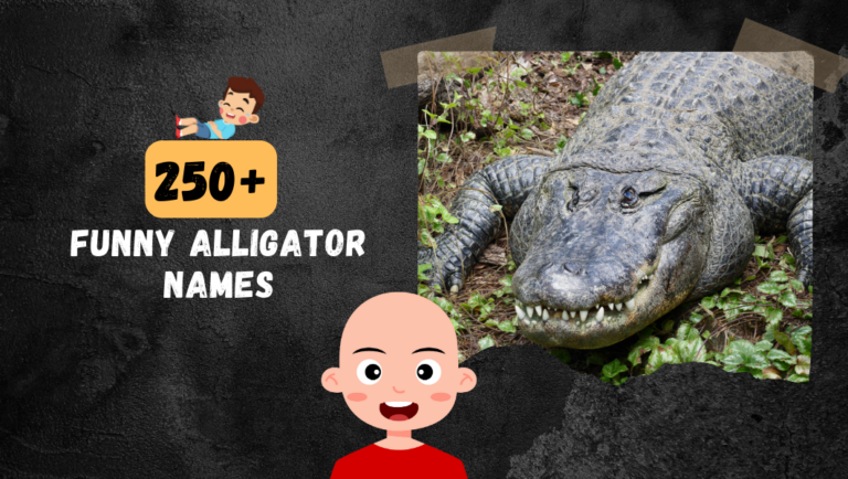 250+ Funny Alligator names (Best & Clever Ideas)