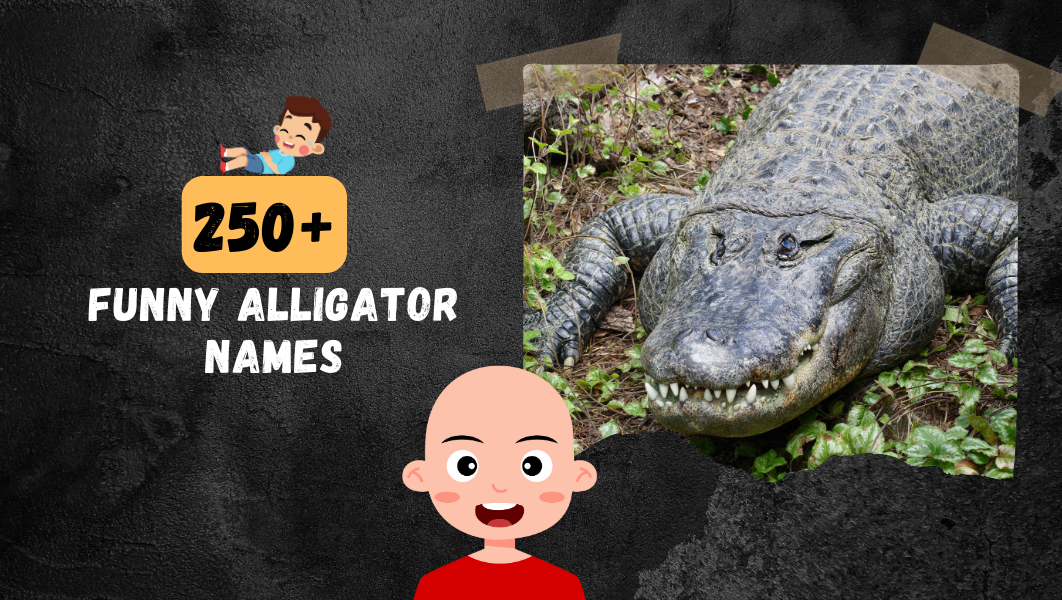Funny Alligator names