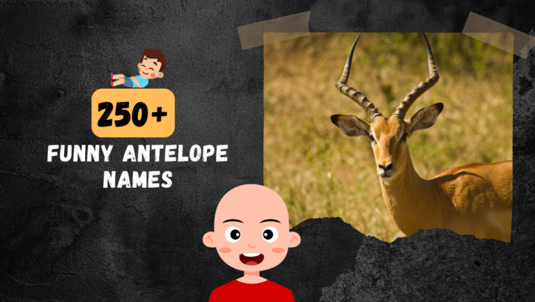 250+ Funny Antelope Name (Revealed)