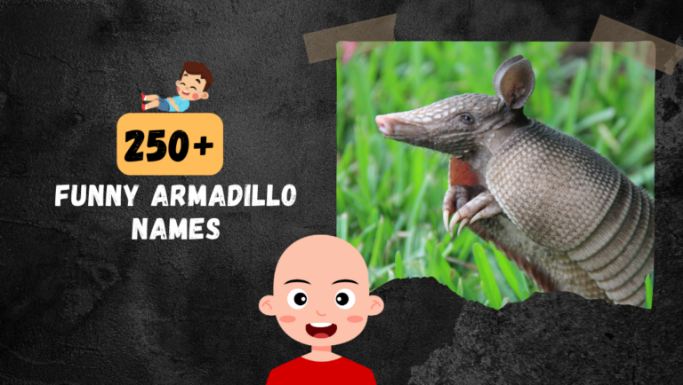 250+ Funny Armadillo Name to choose from!