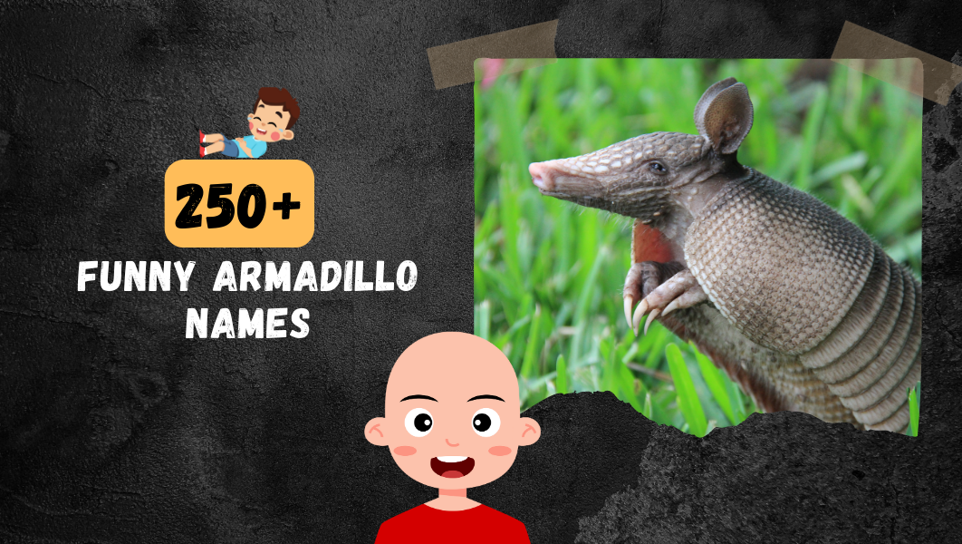 Funny Armadillo names