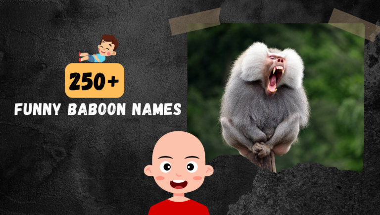 250+ Funny Baboon Name | Family Member Of Mokey!