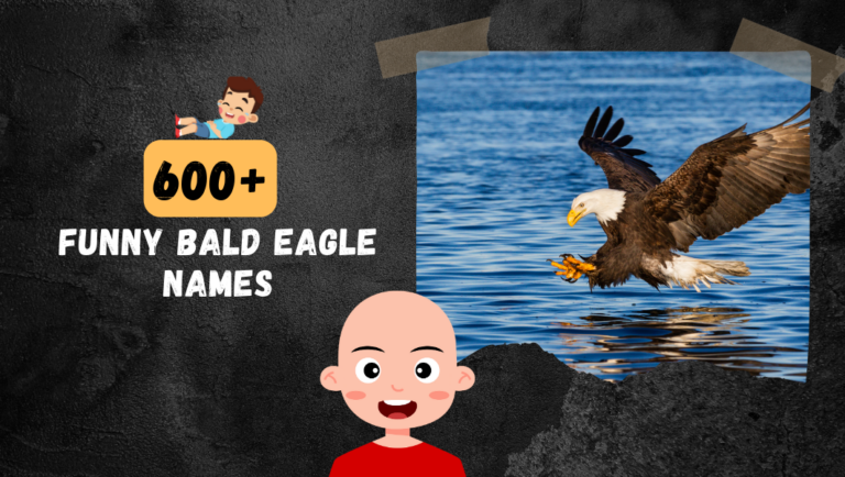 600+ Funny Bald eagle names (Unique, Cool & Catchy)