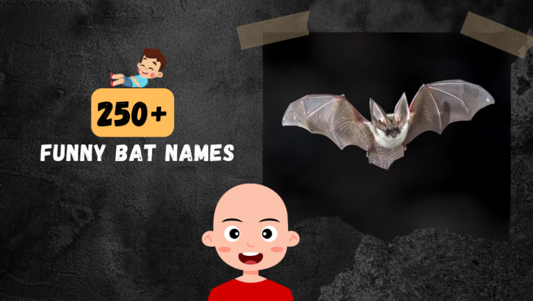 Top 250+ Funny Bat Names For Bat Fans!