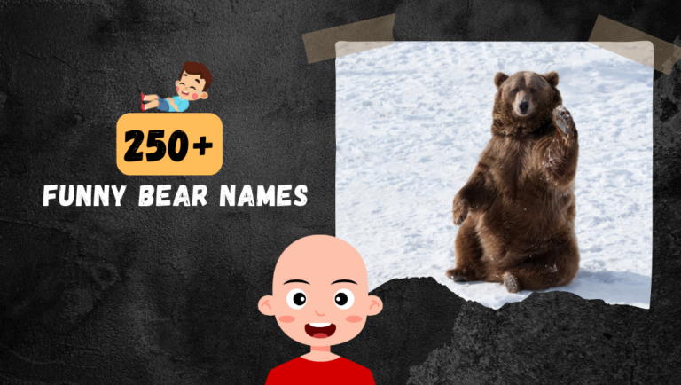 250+ Top Cute & Funny Bear names For Your Teddy!