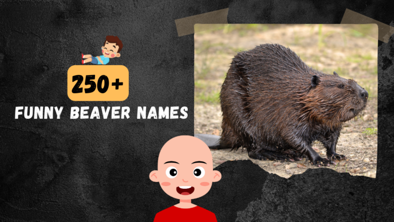 250+ Unique Beaver names (Funny and Cute Ideas)