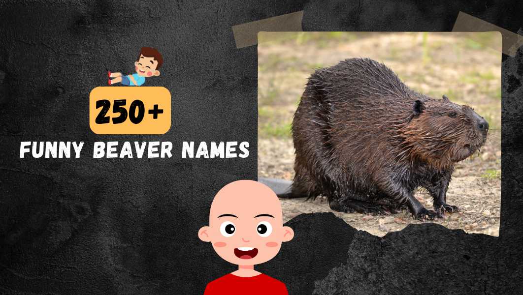 Funny Beaver names