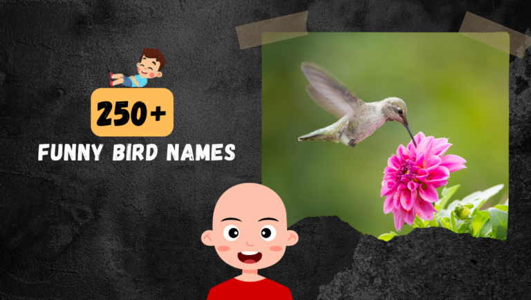 250+ Funny Bird names That Feels Cute, Rear and always Standout!