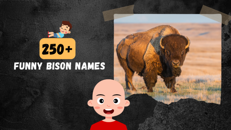 250+ Funny Bison Names For Your Fareless & Strong Pet 2024