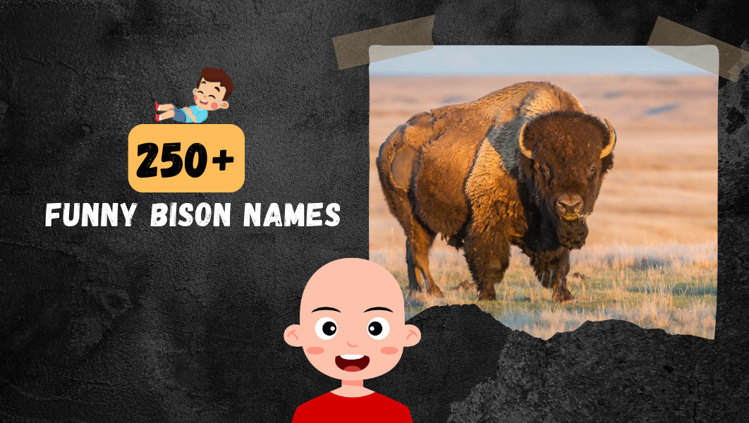 Funny Bison names