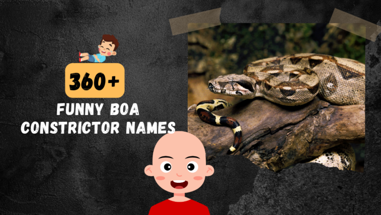 360+ Best and Funny Boa Constrictor Names