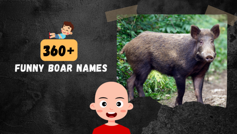 360+ Funny Boar Names For Your Wild and Cute Pig!