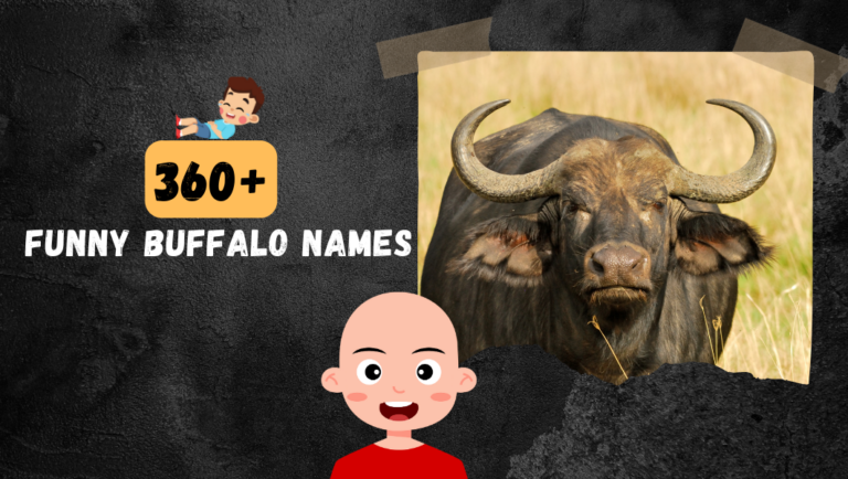 360+ Funny Buffalo names (Catchy, Famous & Interesting) Ideas