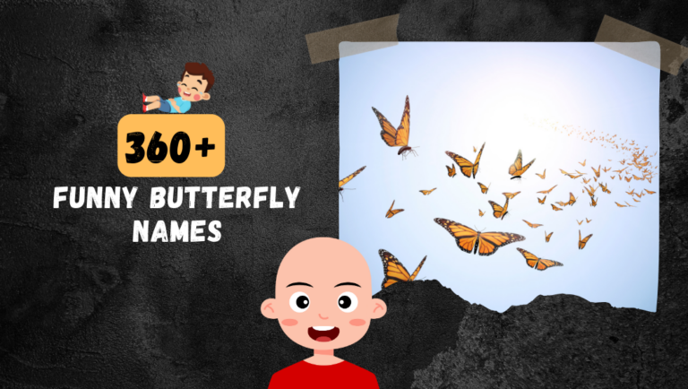 360+ Funny Butterfly names (Cute, Famous, Rare and Cool) Ideas