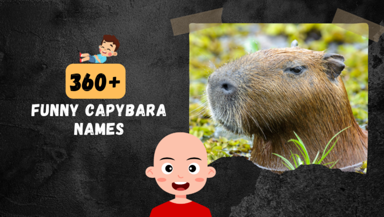 Capybara names: (Clever, Funny, Famous & Cute Ideas) For Your Pet.