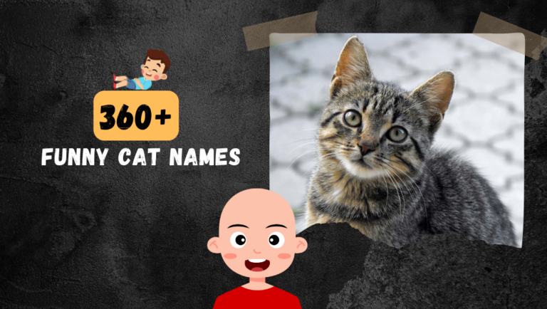 360+ Funny Cat Names (Famous, Rear & Cool Ideas) For Your Kitty!