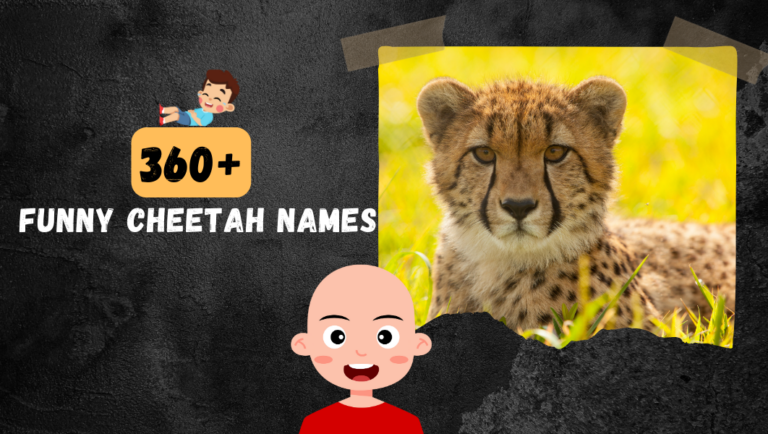 360+ Funny & Clever Cheetah Names for Your Wild Sidekick