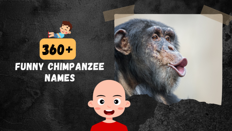 List Of 360+ Funny Chimpanzee Names For Your Silly Cheeky Chimps.