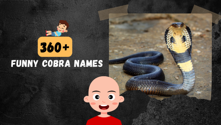 360+ Cobra Names [Hilarious & Funny Naming Ideas]