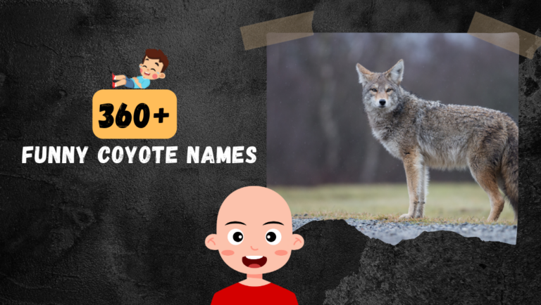 360+ Coyote Names [List Of Crazy, Funny & Unique Ideas]