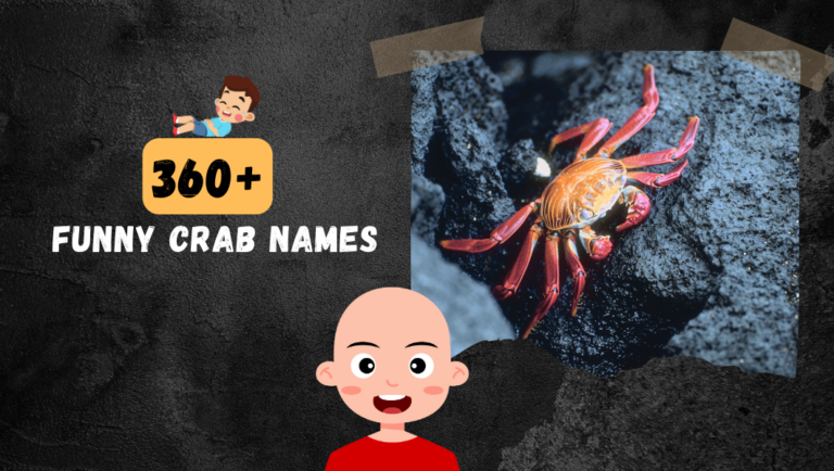 360+ Funny Names To Choose For A Crab.