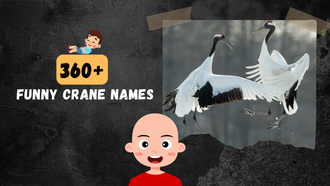 Funny Crane names