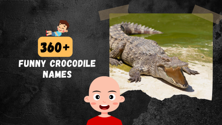 360+ Funny Crocodile Names | List Of Cute Crocodile Names