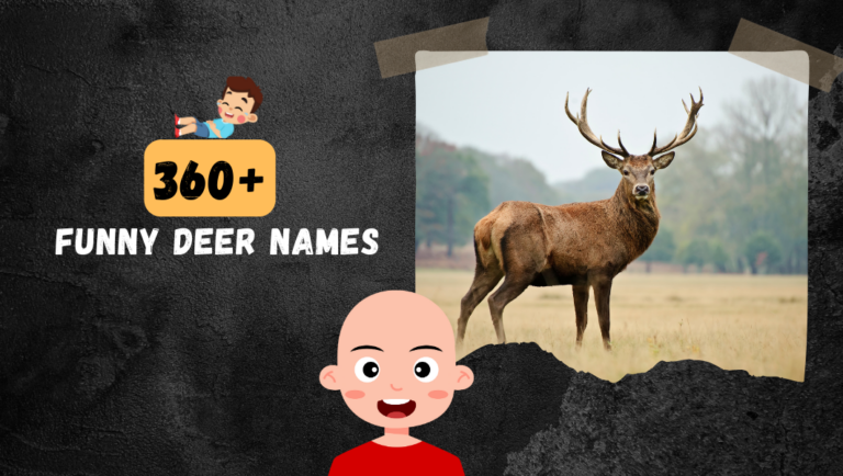 360+ Funny Deer Names: Mythical, Famous, Cool, Fast Ideas