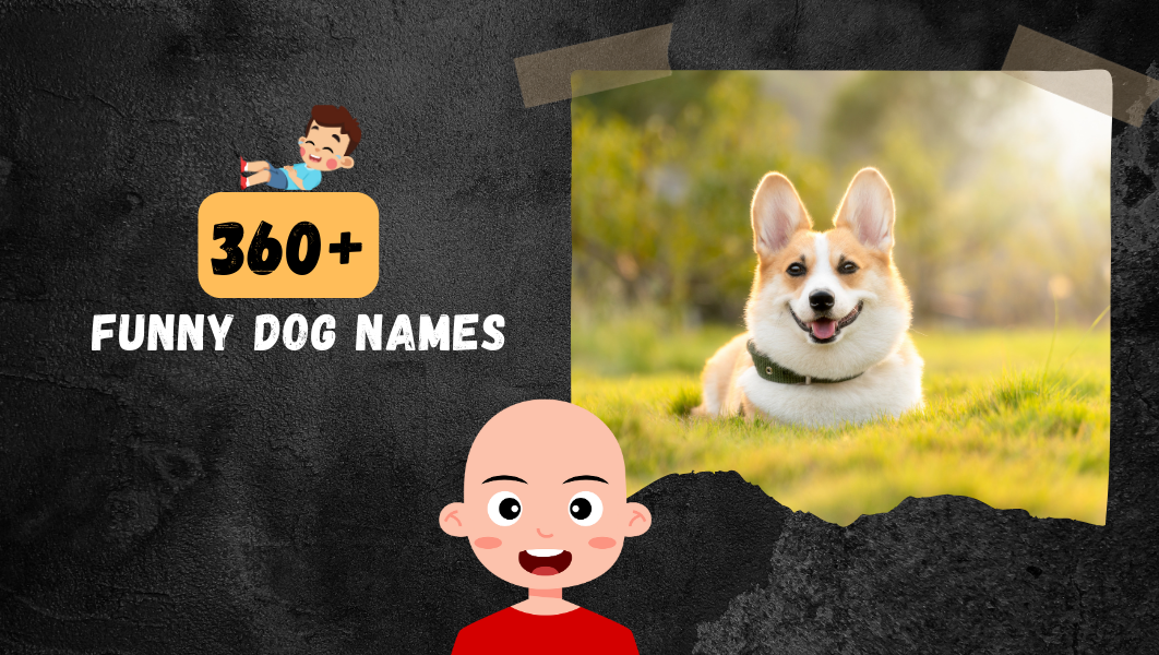 Funny Dog names