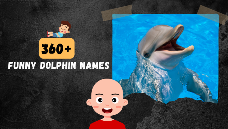 360+ Best Funny Dolphin Names: Famous & Cute Ideas 2024