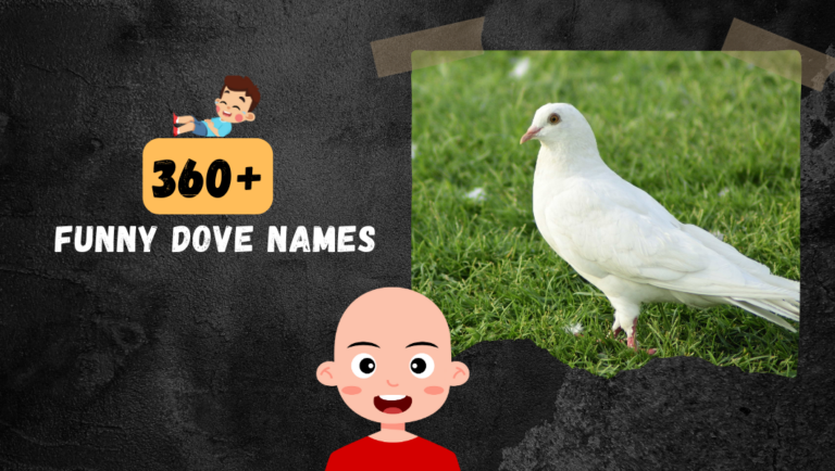 360+ Dove Names That Are Cool, Funny, Rare & Famous