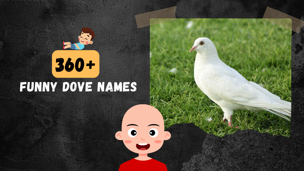 Funny Dove names